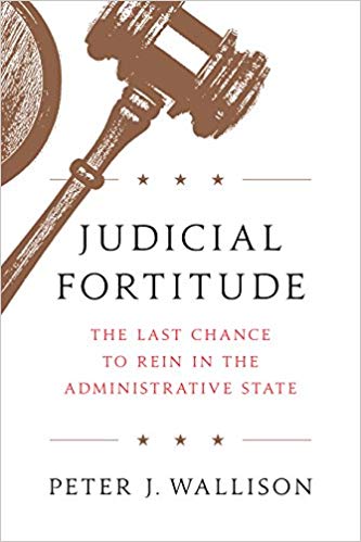 Can and Should the Federal Judiciary Rein In Our Expansive Administrative State?